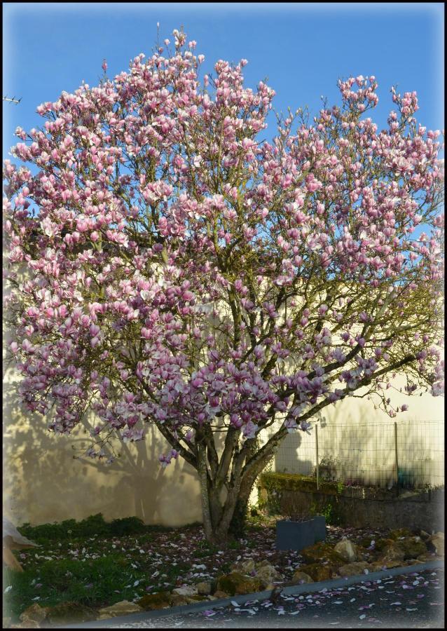 Gites Jardin-darcy Bois Exterior foto