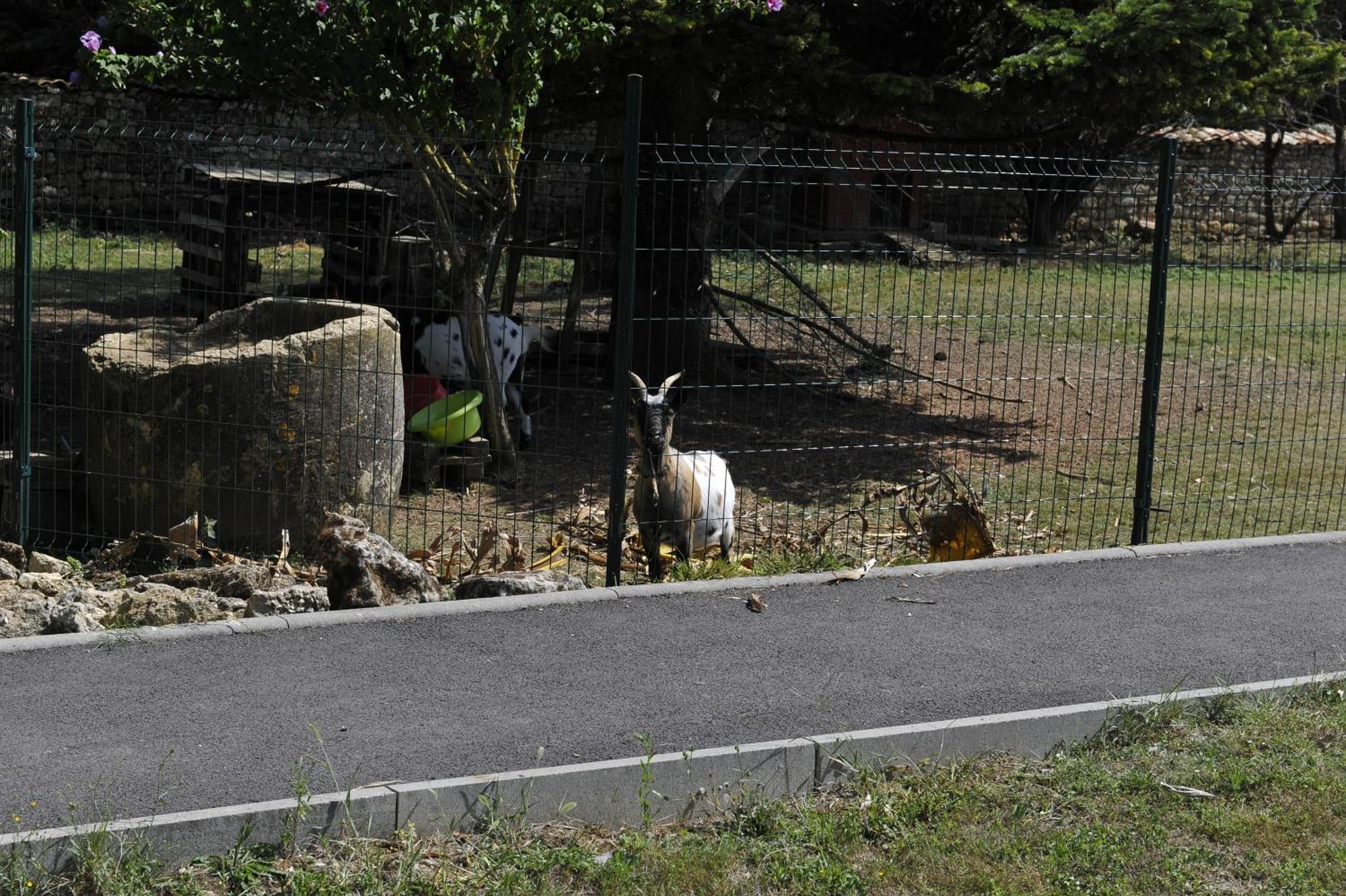 Gites Jardin-darcy Bois Exterior foto